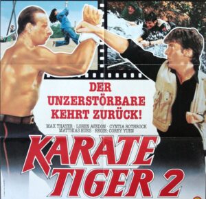 Karate Tiger 2